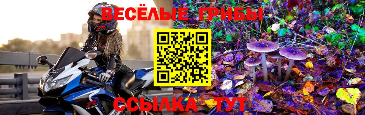 Псилоцибиновые грибы Psilocybe Радужный